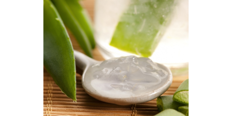 I mille usi del gel di Aloe Vera