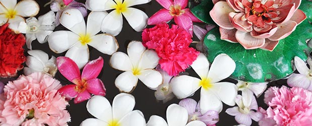 Abbiamo nuove prospettive Fiori