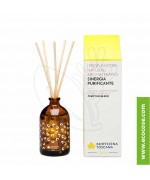 Biofficina Toscana - Profumatore naturale aromaterapico – Sinergia purificante