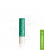 Alkemilla - Addolcilabbra Mandorlatte