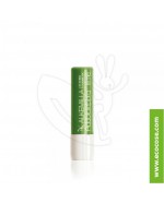 Alkemilla - Addolcilabbra Lime