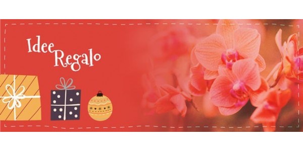 Profumi regalo
